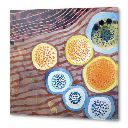 Still Life With Dotted Fruits Acrylic prints by Heidi Capitaine