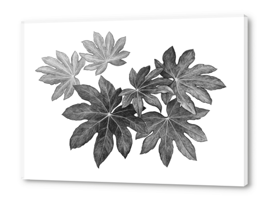 Leaves Acrylic prints by Nika_Akin