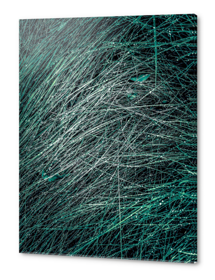green silky grass texture abstract Acrylic prints by Timmy333