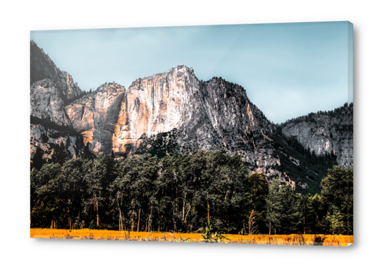 mountains with pine tree and blue sky at Yosemite national park, California, USA Acrylic prints by Timmy333