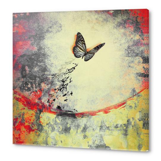 Butterfly I Acrylic prints by DejaReve