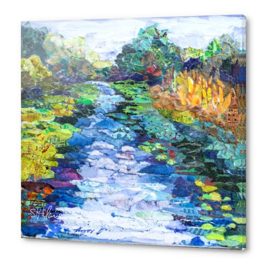 Wekiva River Morning Acrylic prints by Elizabeth St. Hilaire