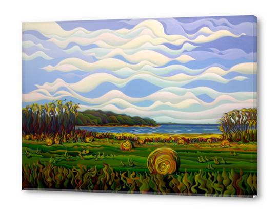 Gaspe's Grand Serenousphere Acrylic prints by Amy Ferrari Art