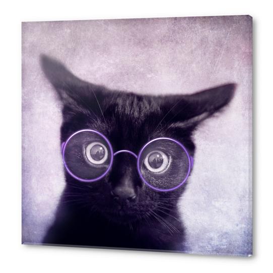 What!? Acrylic prints by DejaReve