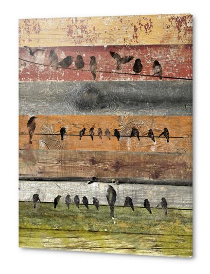 Bird composition II. Acrylic prints by Irena Orlov