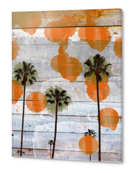 California II Acrylic prints by Irena Orlov