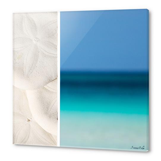 Coastal Acrylic prints by Irena Orlov