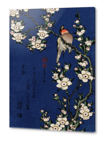 Robin on a Branch of Cherry Blossom Acrylic prints by Katsushika Hokusai