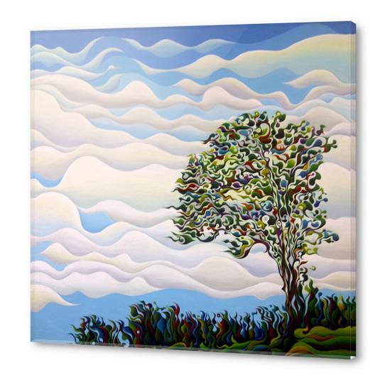 Westward Yearning Tree Acrylic prints by Amy Ferrari Art