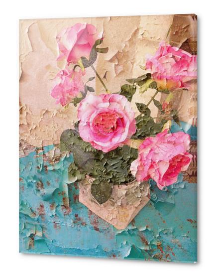 Roses de Lourmarin Acrylic prints by Ivailo K