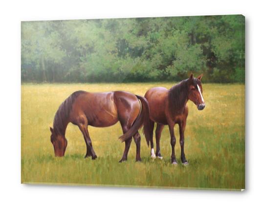 Horses Acrylic prints by Jose Higuera