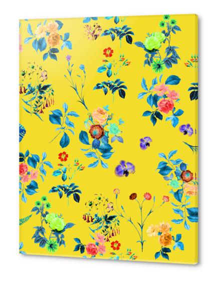 Floral Shower II Acrylic prints by Uma Gokhale