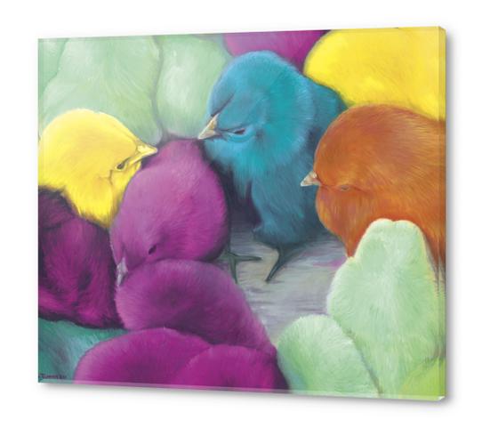 Chicks III Acrylic prints by di-tommaso