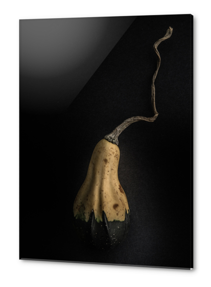 Gourds No 12 Color Version Acrylic prints by The Learning Curve Photography