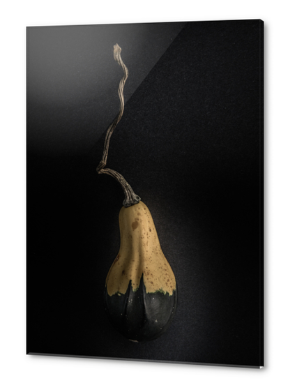 Gourds No 16 Color Version Acrylic prints by The Learning Curve Photography