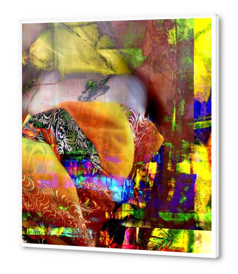 Japonaiserie Acrylic prints by jacques chiron