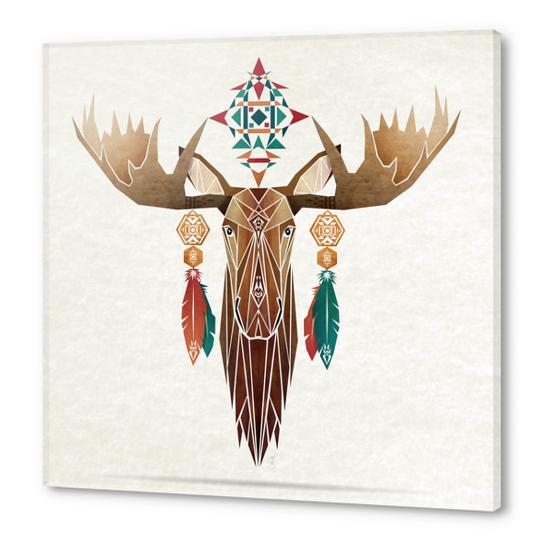 moose Acrylic prints by Manoou