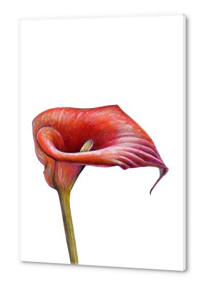 Flower Acrylic prints by Nika_Akin