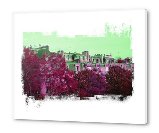 Roofs in Montmartre Acrylic prints by Malixx