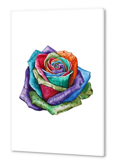 Rose Acrylic prints by Nika_Akin