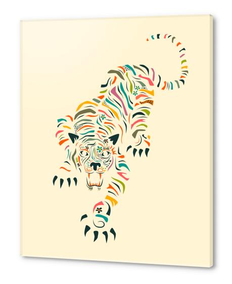 TIGER - BEIGE Acrylic prints by Jazzberry Blue