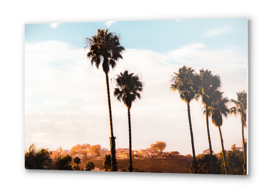 Palm tree with blue cloudy sunset sky at Shoreline Santa Barbara California USA  Metal prints by Timmy333