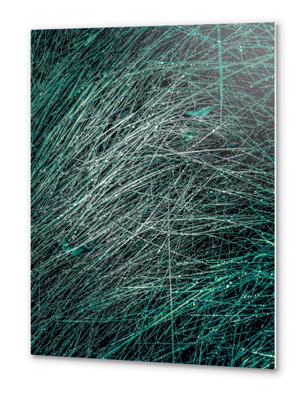 green silky grass texture abstract Metal prints by Timmy333