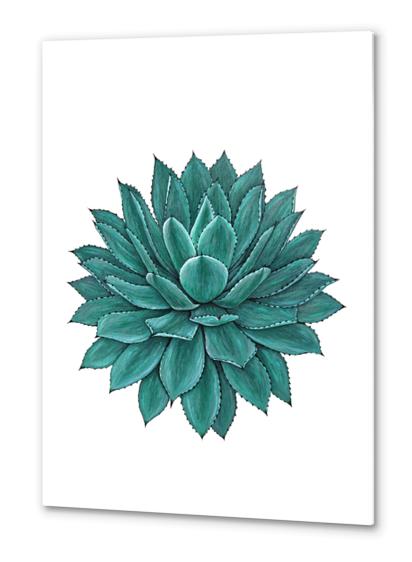 Agave Metal prints by Nika_Akin