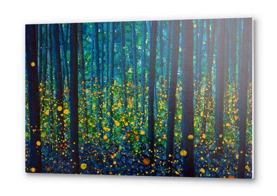 FIREFLIES Metal prints by db Waterman