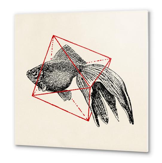 Fish In Geometrics III Metal prints by Florent Bodart - Speakerine