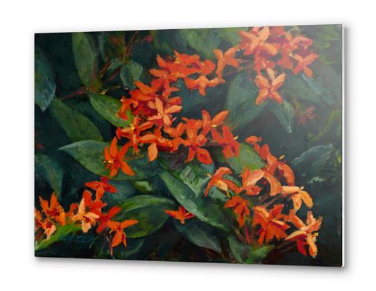 Red Ixora Oahu Metal prints by DanKeizer