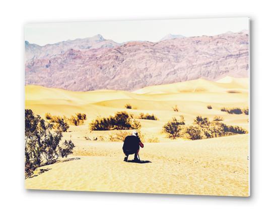 At Death Valley national park, USA in summer Metal prints by Timmy333