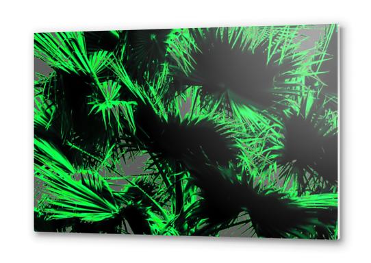 green palm leaves texture abstract background Metal prints by Timmy333