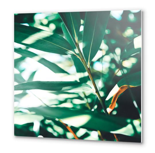 Love leaf Metal prints by mmartabc