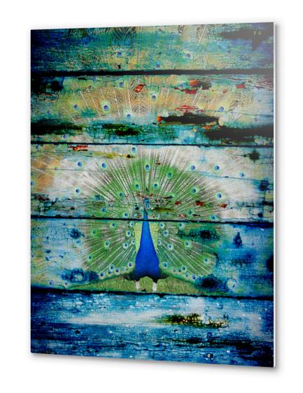  Peacock II Metal prints by Irena Orlov