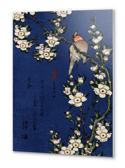 Robin on a Branch of Cherry Blossom Metal prints by Katsushika Hokusai