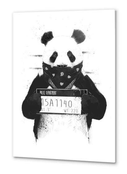 Bad panda Metal prints by Balazs Solti