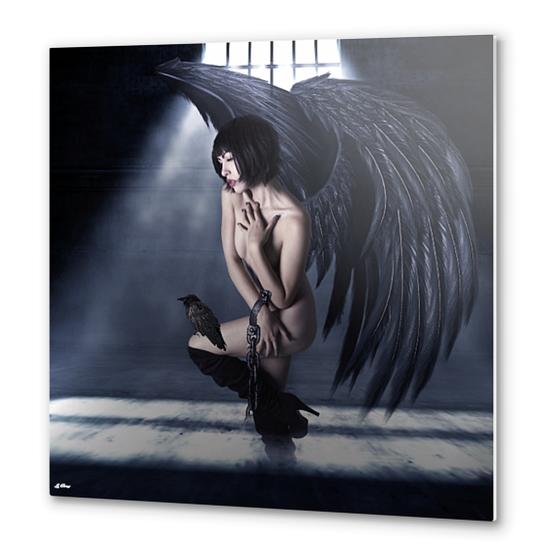 CAPTIVE RAVEN Metal prints by G. Berry