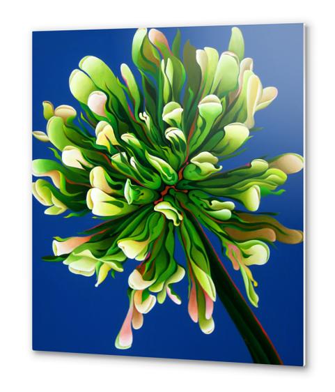 Clover Clarification Indoctrination Metal prints by Amy Ferrari Art