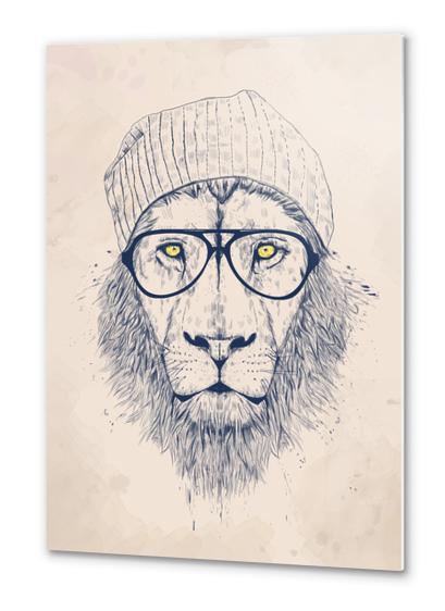 Cool lion Metal prints by Balazs Solti