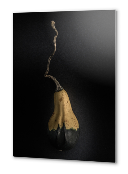 Gourds No 16 Color Version Metal prints by The Learning Curve Photography