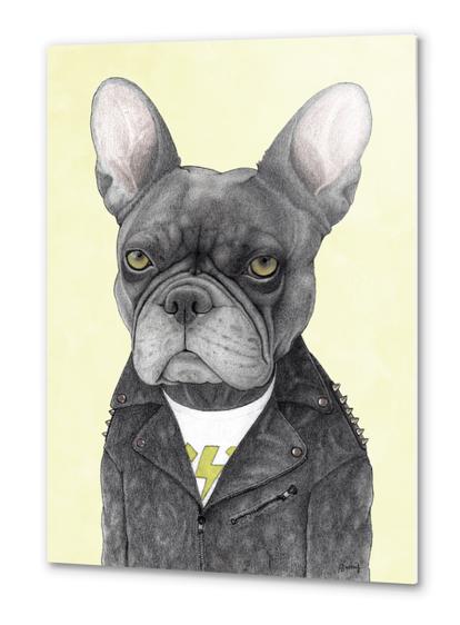 Hard Rock French Bulldog Metal prints by Barruf