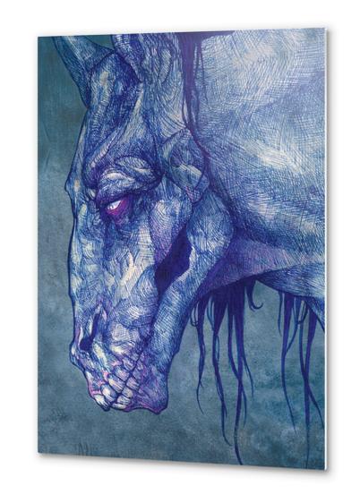 Kelpie Metal prints by Alice Holleman