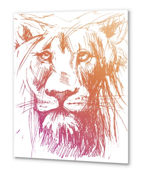 Lion Metal prints by Georgio Fabrello