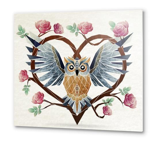 lovely owl Metal prints by Manoou