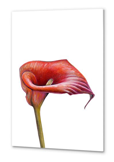 Flower Metal prints by Nika_Akin