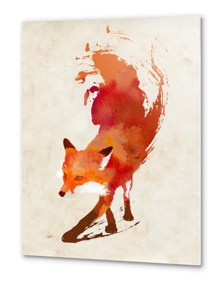 Vulpes Vulpes Metal prints by Robert Farkas