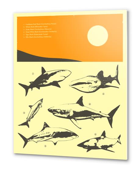 SHARKS Metal prints by Jazzberry Blue