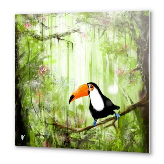 tucan forest Metal prints by martinskowsky