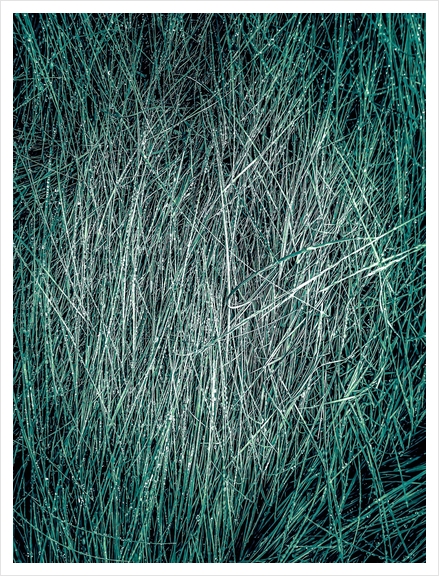 green grass texture abstract background Art Print by Timmy333